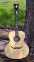 Filename=GT_Zemaitis_12_outside_front.jpg
Filesize=123KiB
Dimensions=433x800
Date added=Jun 30, 2010 GT_Zemaitis_12_outside_front.jpg