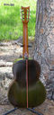 Filename=GT_Zemaitis_classical_outside_back.jpg
Filesize=128KiB
Dimensions=375x800
Date added=Jun 30, 2010 GT_Zemaitis_classical_outside_back.jpg