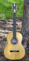 Filename=GT_Zemaitis_classical_outside_front.jpg
Filesize=126KiB
Dimensions=386x800
Date added=Jun 30, 2010 GT_Zemaitis_classical_outside_front.jpg
